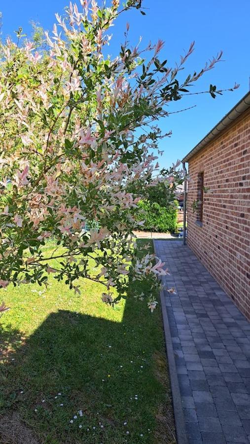 Gite Rural "L'Anseromia" 迪南 外观 照片